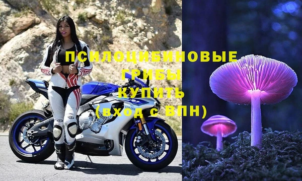 spice Орск