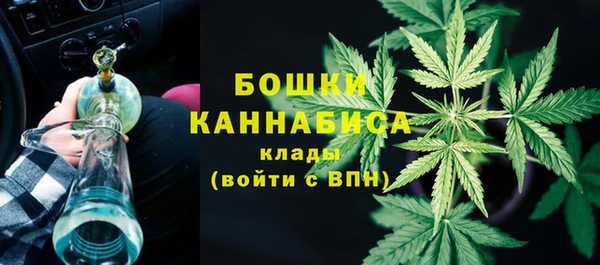 молекула духа Краснослободск