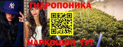 mdma Кингисепп