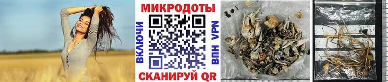Галлюциногенные грибы прущие грибы  Сорочинск 