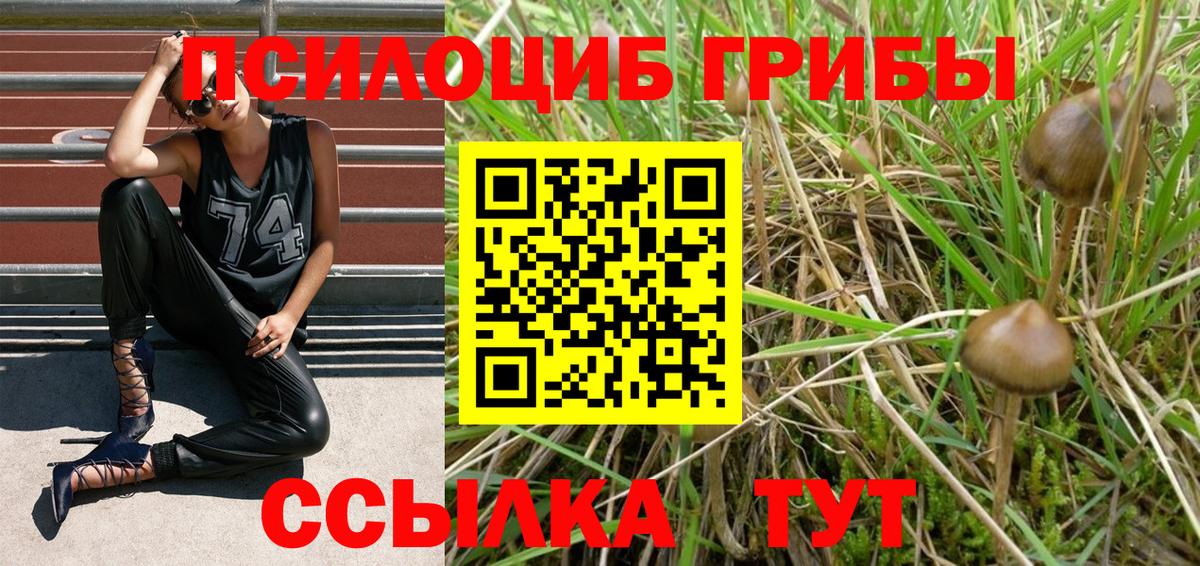 Галлюциногенные грибы прущие грибы  Вход с VPN  Сорочинск 
