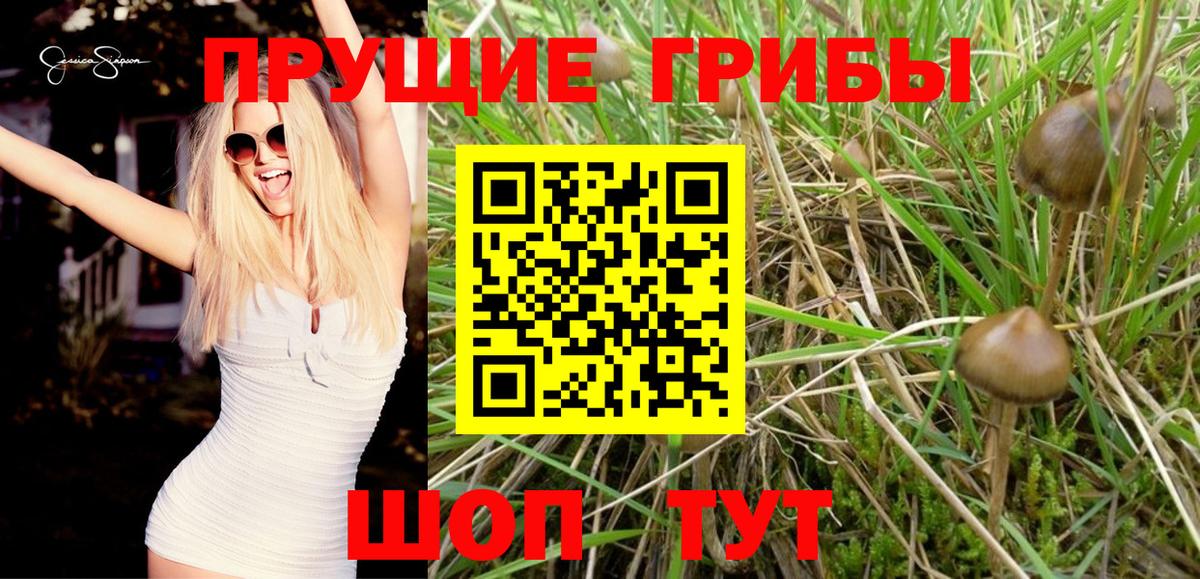 Галлюциногенные грибы Cubensis Сорочинск
